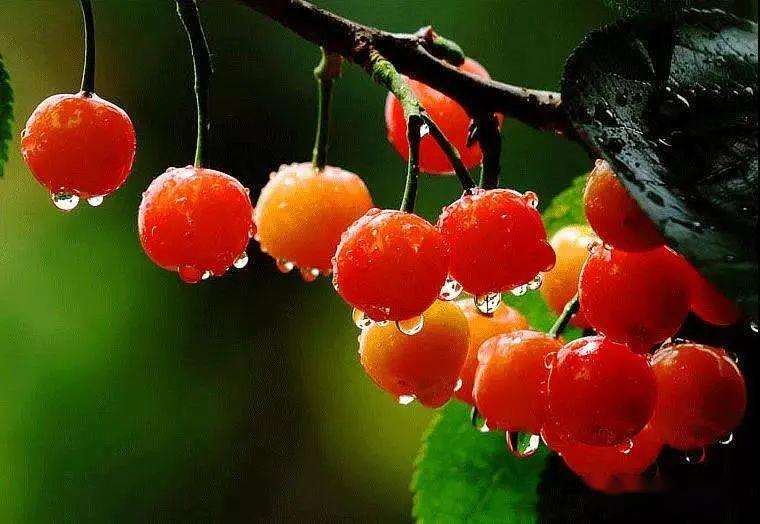 上?？婆d儀器